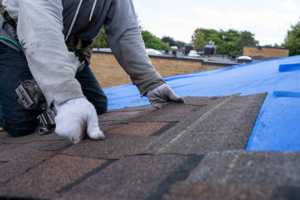 Professional  Roofing repair and installation in Huntsville, AL
